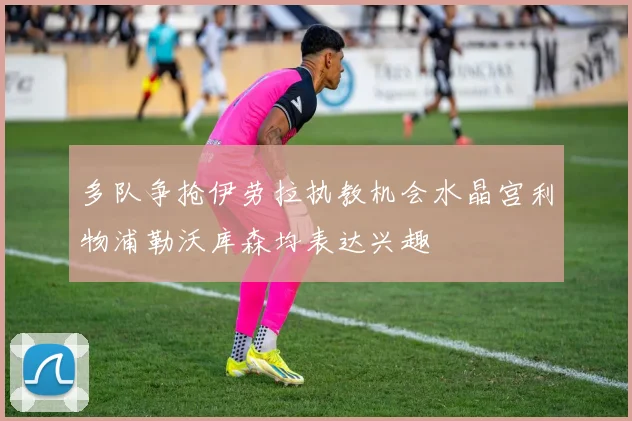 多队争抢伊劳拉执教机会水晶宫利物浦勒沃库森均表达兴趣
